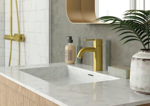 Silhouet Basin Mixer - Small (Brushed Brass PVD)