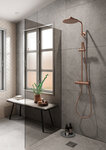 Shower System