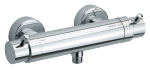 Thermostatic Shower Mixer