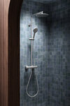 Shower System