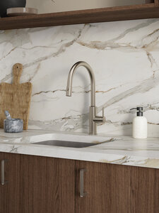 Iris Kitchen mixer with pull-out spray (Steel)