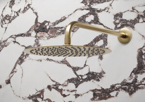 Iris Head Shower (Brushed Bronze)