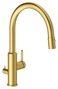Iris Kitchen mixer with dishwasher shut-off valve, pull-out spray head (Brushed Brass)