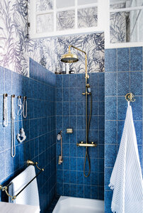 Tradition Shower System (Polished Brass)