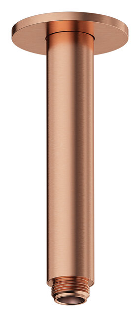 Shower Arm - Ceiling Mounted