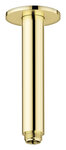 Shower Arm - Ceiling Mounted