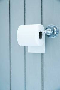 Tradition Spare Toilet Roll Holder (Polished Brass)