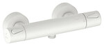 Thermostatic Shower Mixer