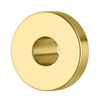 Cover Ring 