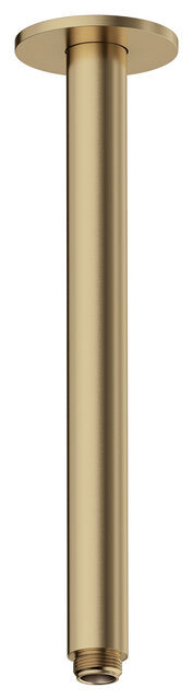 Douche arm plafondmontage