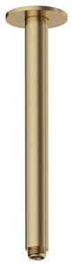 Arm - Ceiling Mounted (Brushed Bronze)