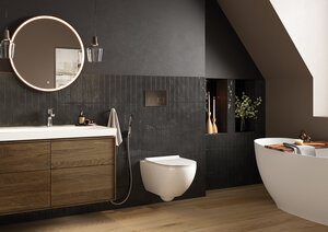 Pesuallashana bidevarustein