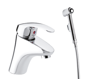 Pesuallashana bidevarustein