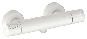 Thermostatic Shower Mixer