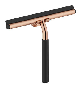 Shower squeegee with holder