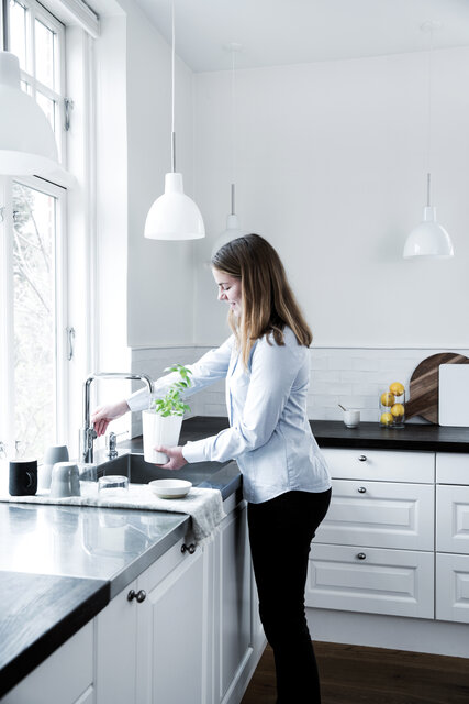 Kitchen Mixer with Dishwasher Shut off valve
